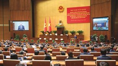 Mệnh lệnh từ cuộc sống