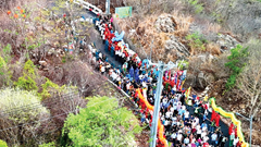 Di sản sống động, kết nối cộng đồng