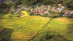 Y Tý làm giàu từ di sản