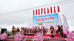  Người Ba Na Kriêm hút khách bằng sắc hoa anh đào