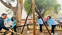  Phát động Tết trồng cây “Phụ nữ vun trồng tương lai” Xuân Ất Tỵ 2025