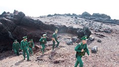  Mùi ngũ trảu trong gió đông