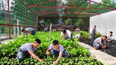 Ra Trường Sa xem “Sơn Ca ba nhất”