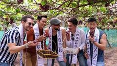 Thưởng thức vị ngọt của nho ở “xứ sở của nắng và gió”