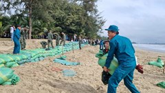  Làm đê cát ngăn nước biển xâm thực ở bãi biển đẹp nhất Quảng Ngãi