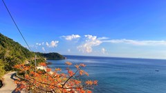 Cộng đồng hưởng lợi, sinh thái được bảo vệ