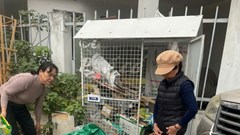 Hà Nội tổ chức chuỗi sự kiện kỷ niệm 60 năm phong trào “Ba đảm đang”