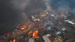 Cháy rừng gây thiệt hại chưa từng có