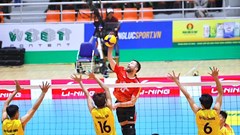  Sức hút từ những ngôi sao