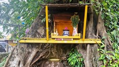 Điều tra và xử lý nghiêm hành vi phá hoại di tích