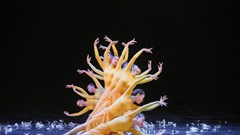 Làm sao khắc phục “đến hẹn lại xin - cho”?