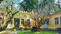 Cần bước chuyển thực chất để không “lỡ hẹn” với văn hóa