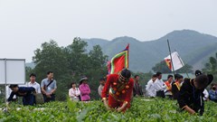 Thái Nguyên đặt mục tiêu thu hút 6 triệu lượt khách