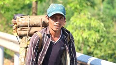 Hương quế thắp sáng ước mơ vùng cao