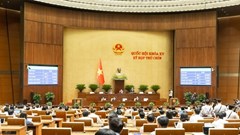 Xác lập rõ trách nhiệm pháp lý đối với những người có ảnh hưởng