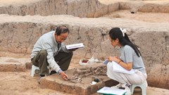 Tạm biệt “chàng trai cao tuổi”!