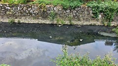  Khi hào thành cổ Vinh là… “sông Tô Lịch”