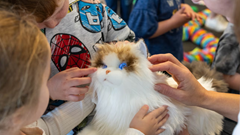 Mèo robot giúp giảm căng thẳng ở trẻ em và người cao tuổi