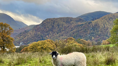 UNESCO bị kêu gọi xem xét lại danh hiệu Di sản thế giới Lake District