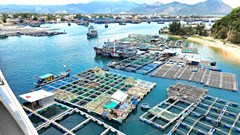  Lập quy hoạch khu đô thị, du lịch và bến siêu du thuyền 5.200 ha tại Đề Gi