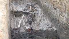 Đối mặt với giải pháp bảo tồn