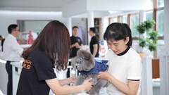 Nền kinh tế thú cưng tại Trung Quốc đang bùng nổ