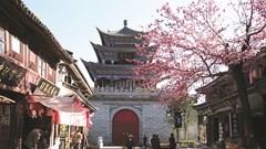  “Thế hệ bạc” trở thành lực lượng quan trọng trong thị trường du lịch