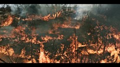 Khát vọng với giấc mơ “bom tấn”