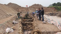 Câu hỏi cần lời giải đáp