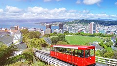 New Zealand đặt mục tiêu tăng gấp đôi thị trường giáo dục quốc tế vào năm 2034