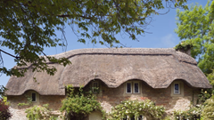 Giá nhà hạ nhiệt, người dân đổ xô săn bất động sản ngoại ô