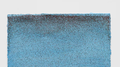 Nghệ sĩ Mỹ dùng... ruồi vẽ tranh