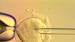 Hy vọng mới cho những gia đình mang bệnh di truyền