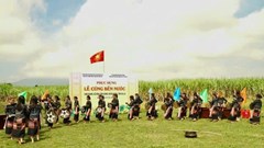 Mỗi mái nhà là một bảo tàng sống