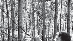  Nguy cơ chập cháy khi người dân tự kéo điện sử dụng