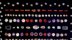 Sau 127 năm lưu lạc, xá lợi Đức Phật trở về đất mẹ Ấn Độ