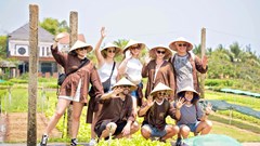 Cần đồng bộ các giải pháp