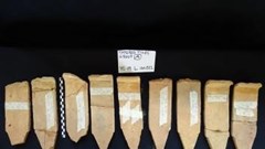 Đặt ra nhiều giả thuyết mới