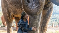 Người phụ nữ dành cả đời bảo vệ những chú voi