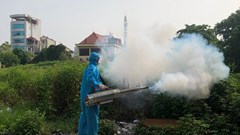  Không lơ là, chủ quan với bệnh Chikungunya
