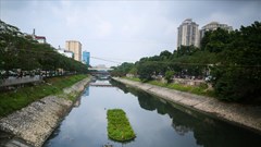 “Giải mã” công nghệ làm sạch sông Tô Lịch