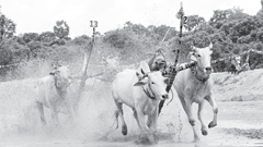  Ô Lâm đánh thức tiềm năng di sản văn hóa