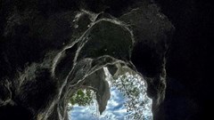 Du lịch rừng và lời cảnh tỉnh cho những ai ưa thích mạo hiểm