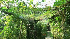  Du lịch Đà Nẵng tiếp cận xu thế “low carbon”