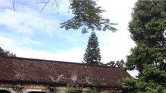 Khúc tráng ca trên dòng sông lịch sử