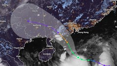 Bão số 7 dự kiến đổ bộ vào đất liền, gây mưa dữ dội