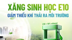 Xe nào dùng được, xe nào nên tránh?