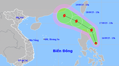 Bão số 8 đang hình thành trên biển Đông