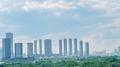 Nguyên nhân và dự báo xu hướng