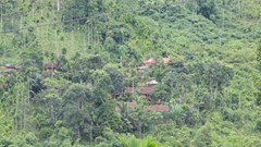 Thấp thỏm nỗi lo… sạt lở núi